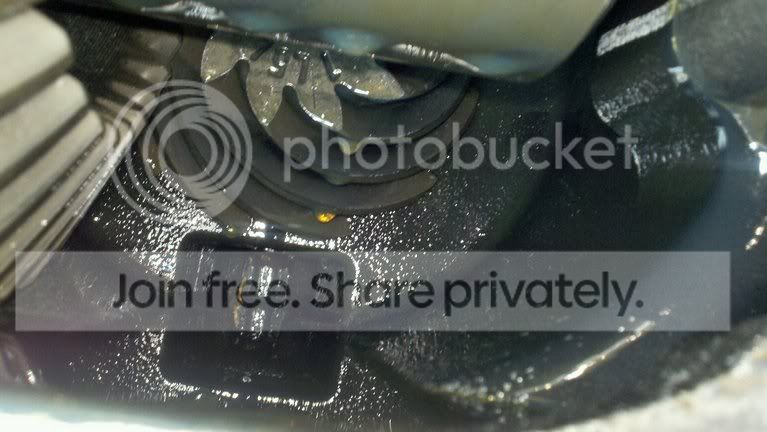 photobucket-4474-1329087603787.jpg