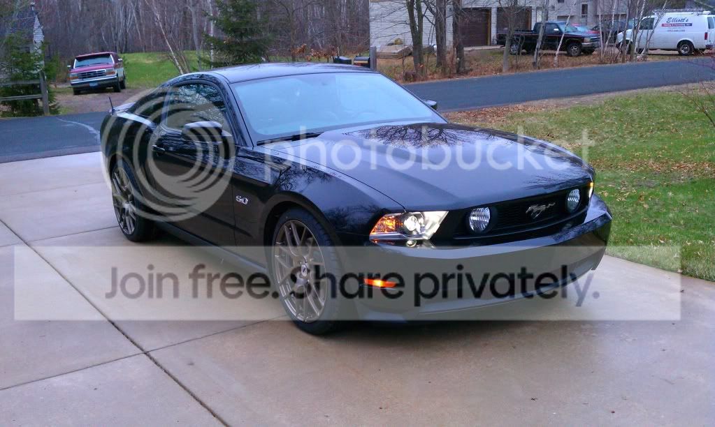 2011mustang1.jpg