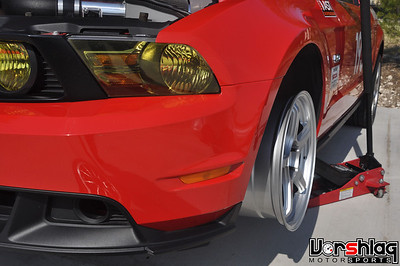 DSC3120-S.jpg