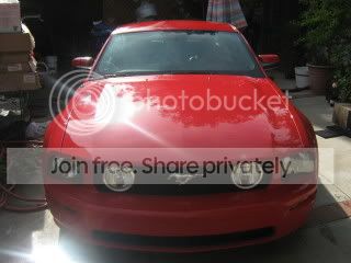 Stang283.jpg