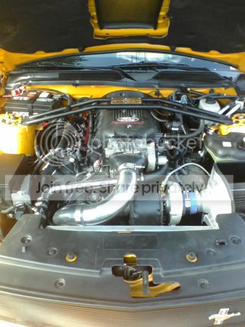 p_00064-21.jpg