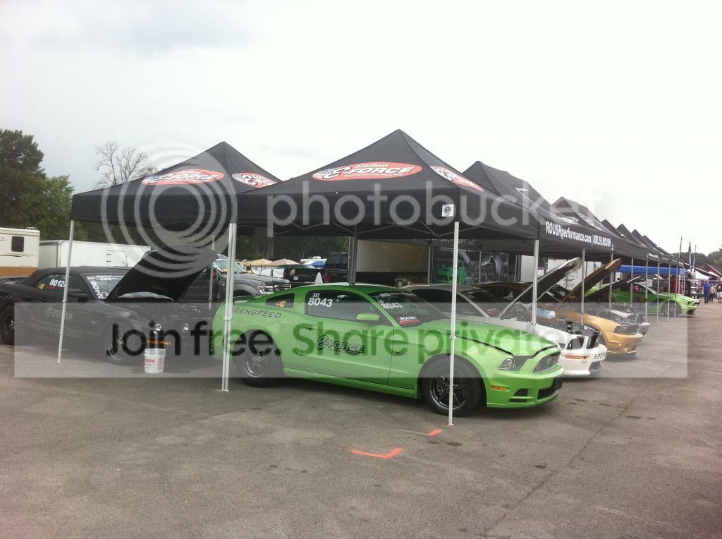 IMG_8462_zps1d7a01b1.jpg