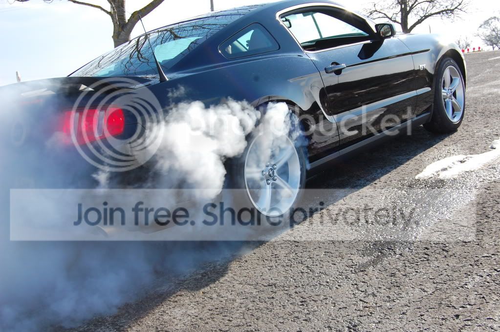 Mustang068.jpg