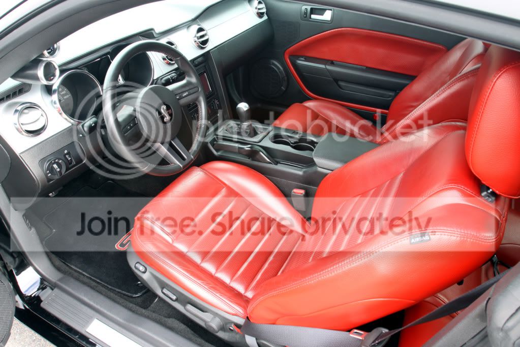alexinside50.jpg