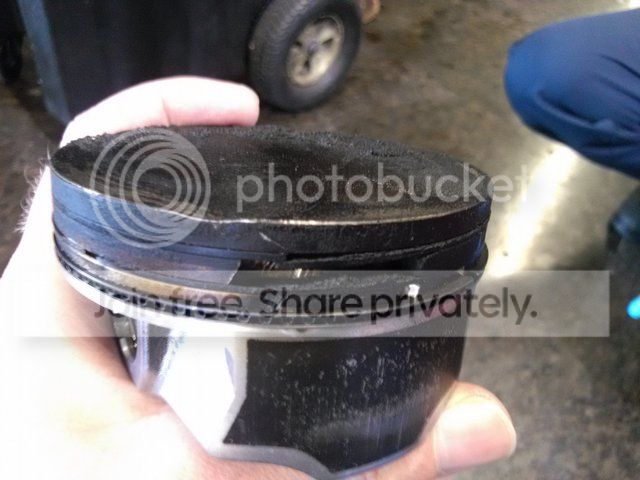IMG141_zps45a14d0a.jpg