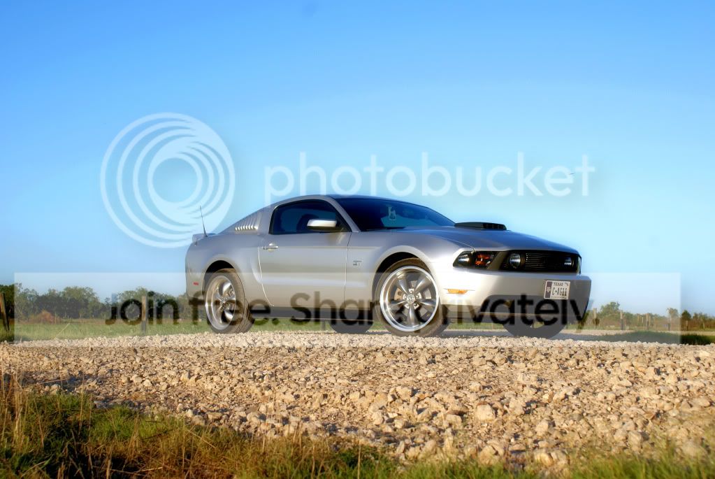 DSC01264rt.jpg