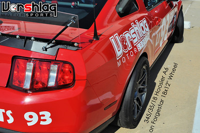 DSC1019-S.jpg