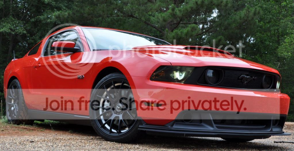 Stang011.jpg