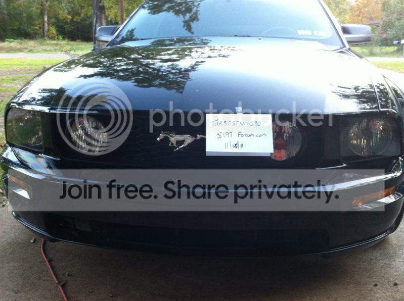 mustang.png