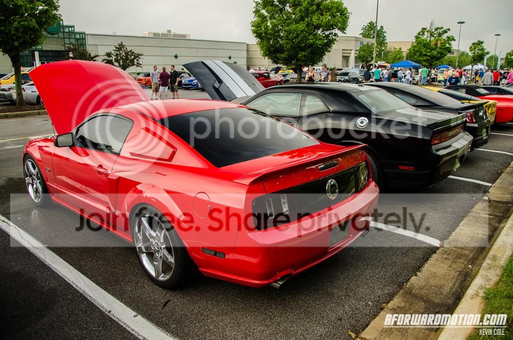 DSC_2865_zps36fe51c0.jpg
