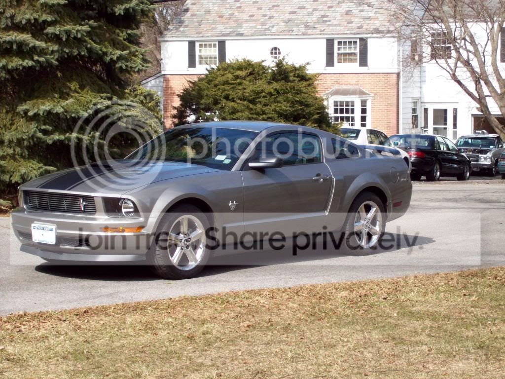 Mustang12.jpg