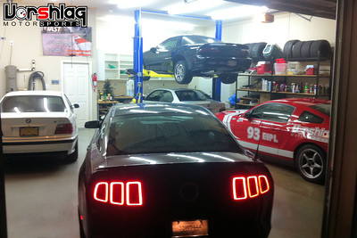 IMG6135-S.jpg
