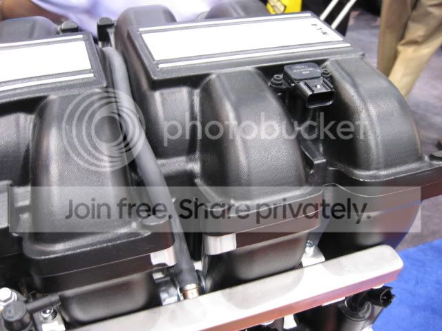 SEMA017.jpg