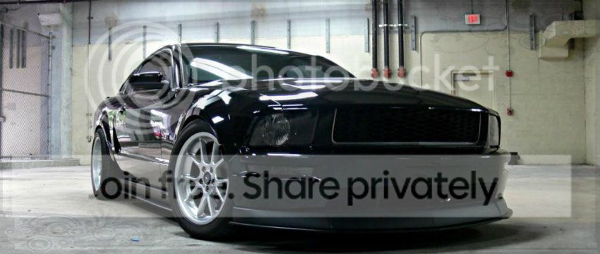 P1030695_zps6ca9b60d.jpg
