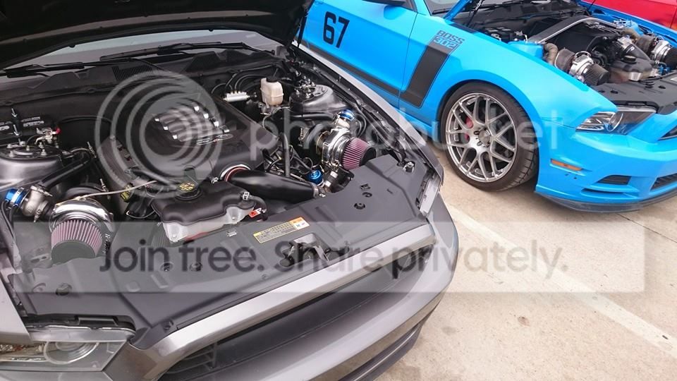 2014mustang021.jpg