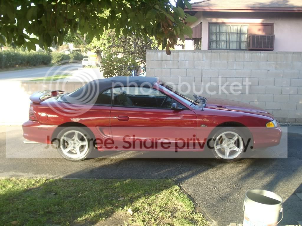 noveMbErSTANG002.jpg