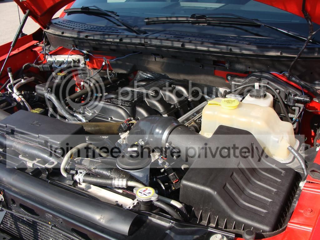 DSC08480_zpsf2ea4cf0.jpg