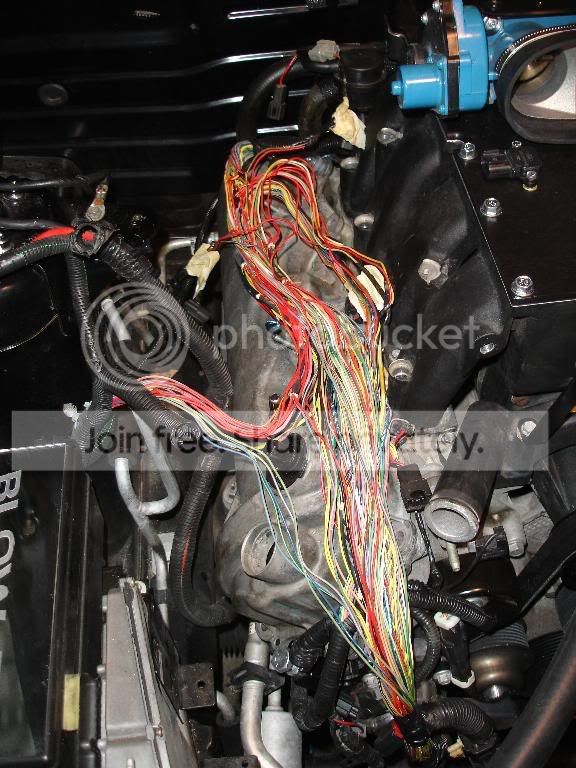 wires2.jpg