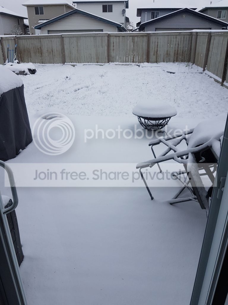 snow_zpsiticr878.jpg