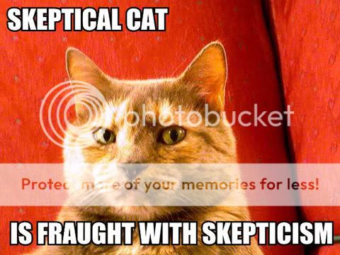 skeptical-cat-is-fraught-with-skepticism1.jpg
