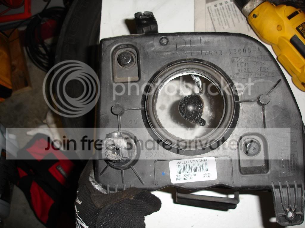 headlight3.jpg