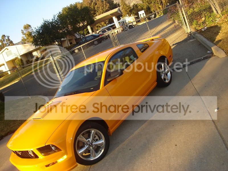 Stang002.jpg