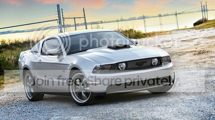 mustang2.jpg