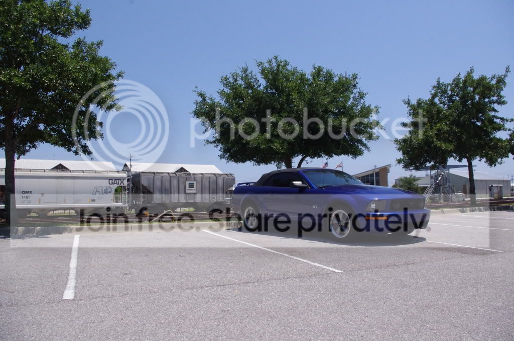 IMGP1020.jpg