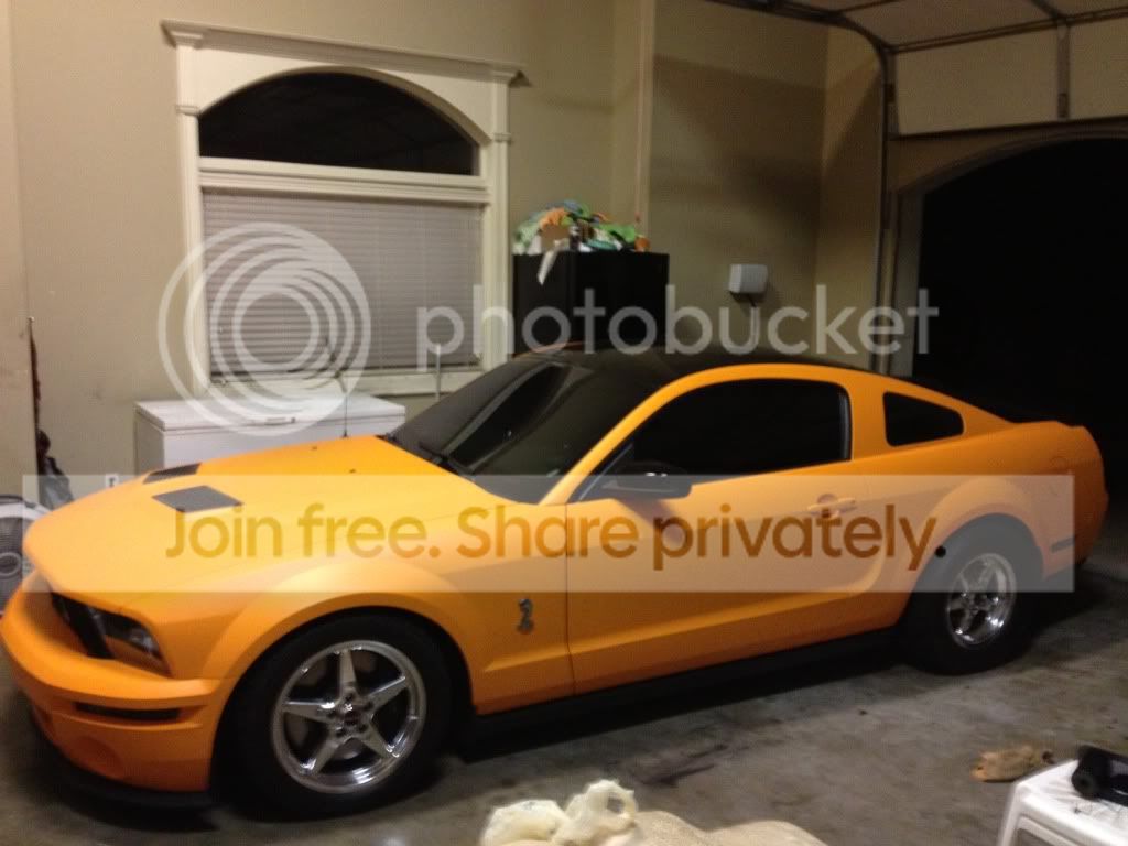 photo2-11.jpg
