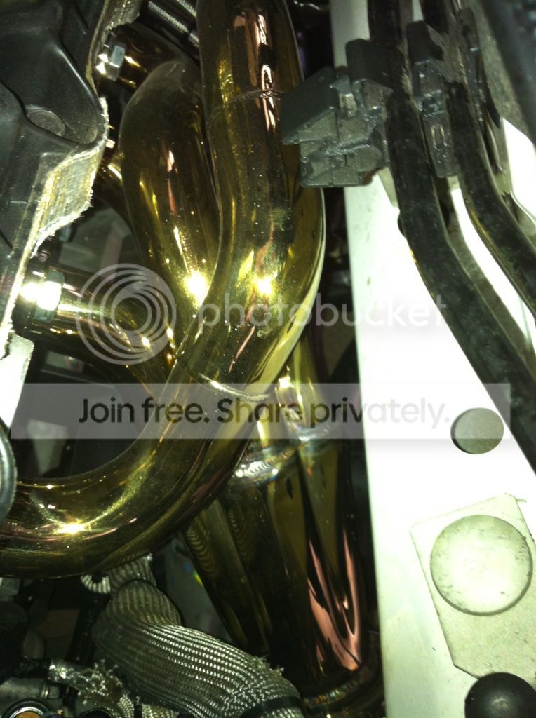 goldheaders.jpg