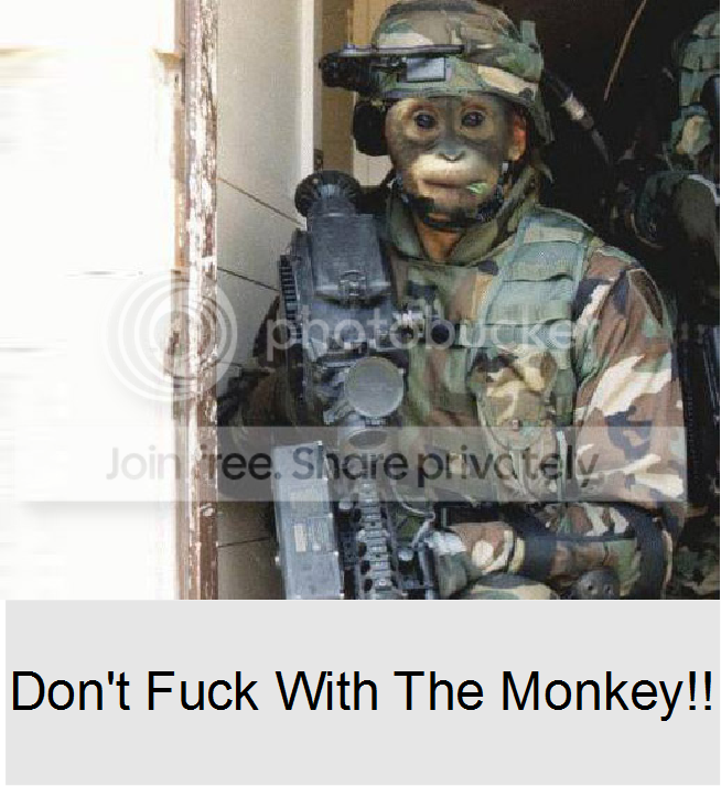 monkey.png
