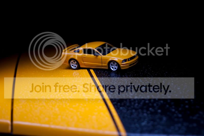 StangonStang.jpg