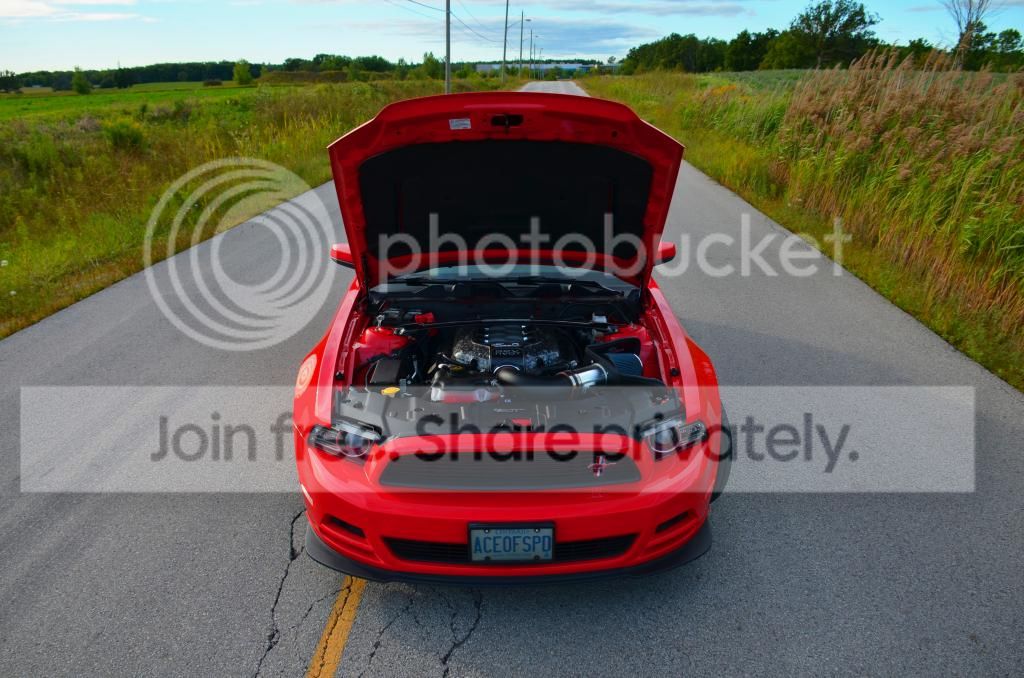 aaaa9_zps91fce243.jpg
