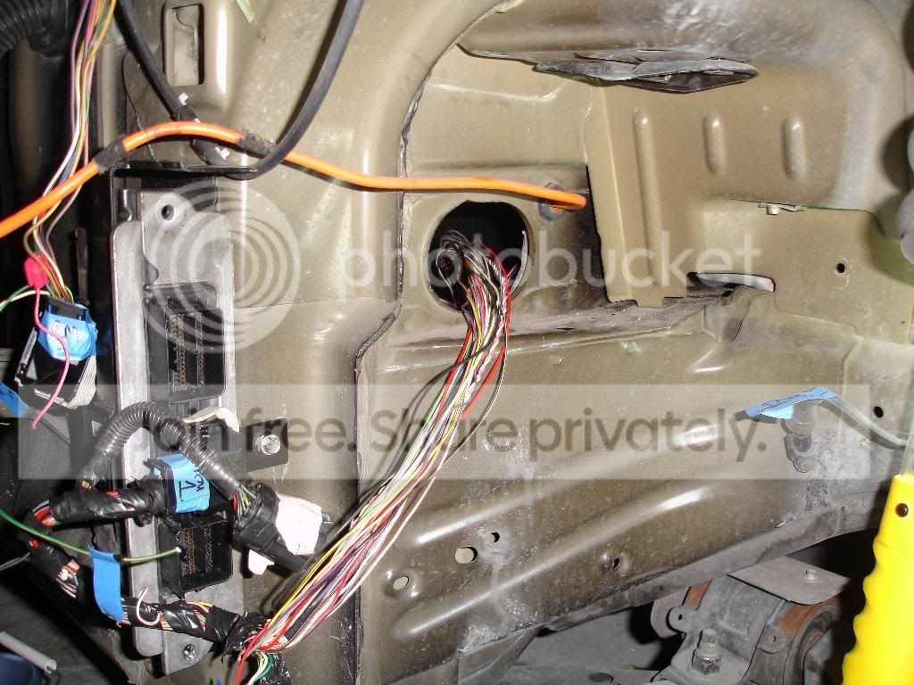 wires9.jpg
