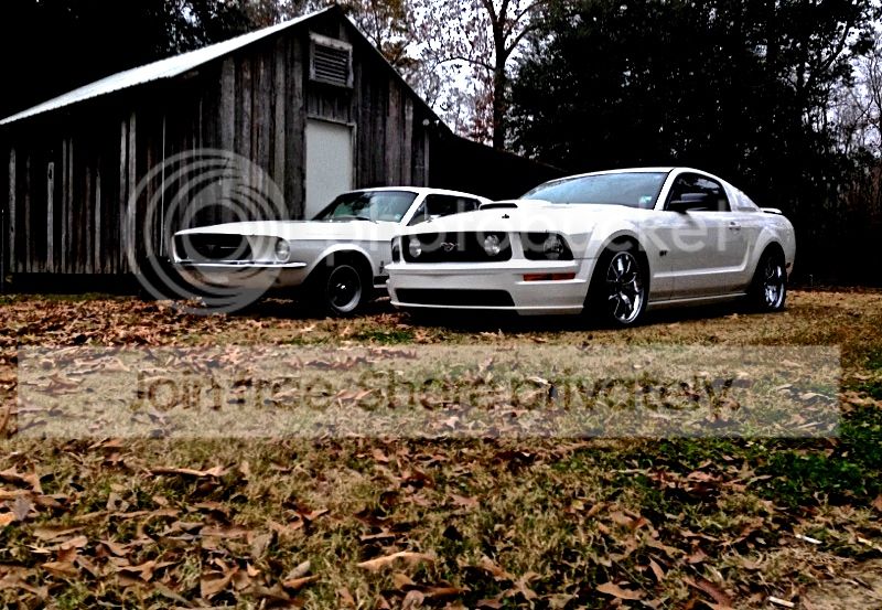 IMG_4220_zps8f9cf8ed.jpg