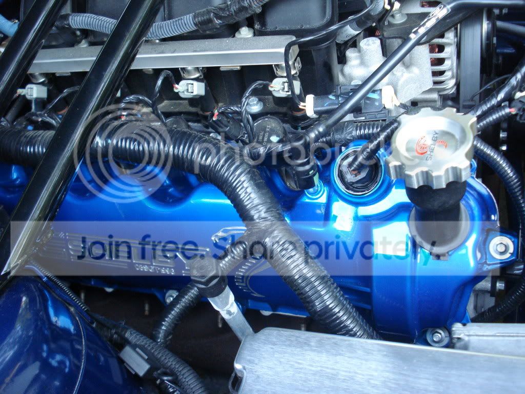ShelbyValveCover3.jpg