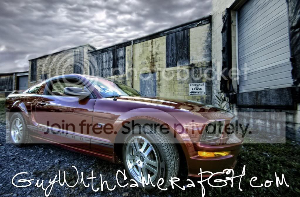 HDstang.jpg