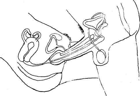 Image160.jpg