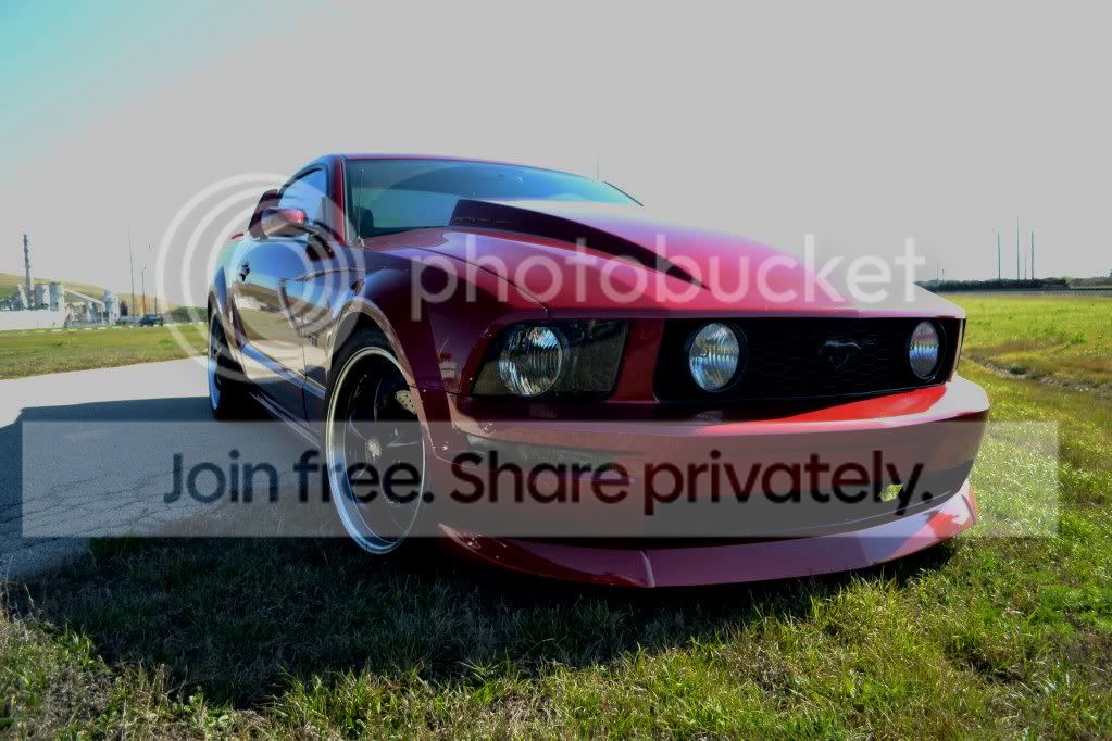 MYMUSTANG.jpg