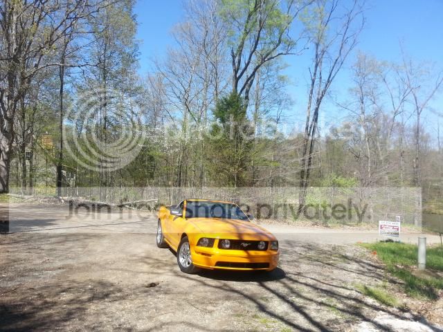 20140503_155342_zps798ac1d9.jpg