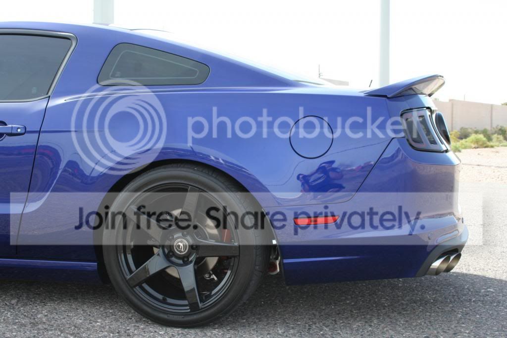 IMG_3565_zpsbc59669f.jpg