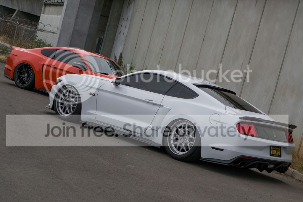 BaggedBrothers.jpg