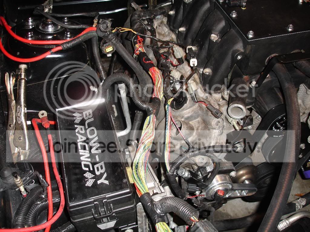 wires1.jpg