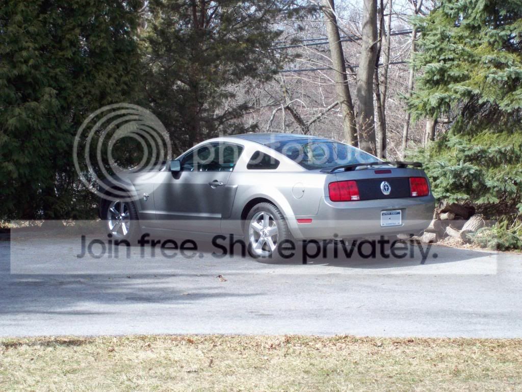 Mustang11.jpg