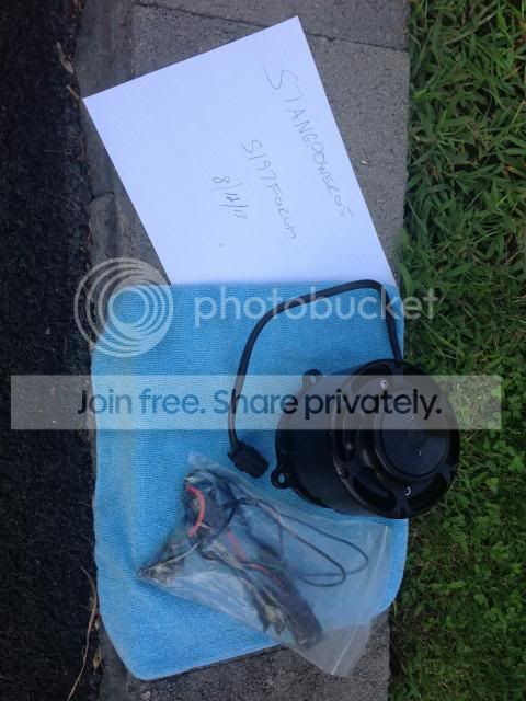 IMG_3629_zpsf33c4bc4.jpg