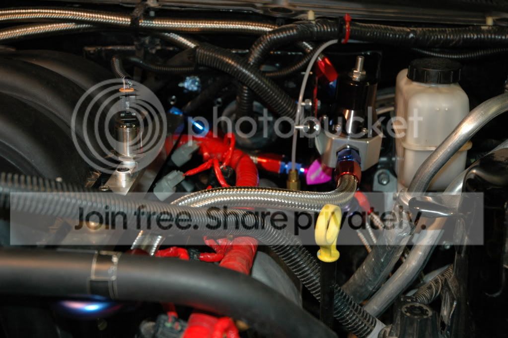 DSC_0335.jpg