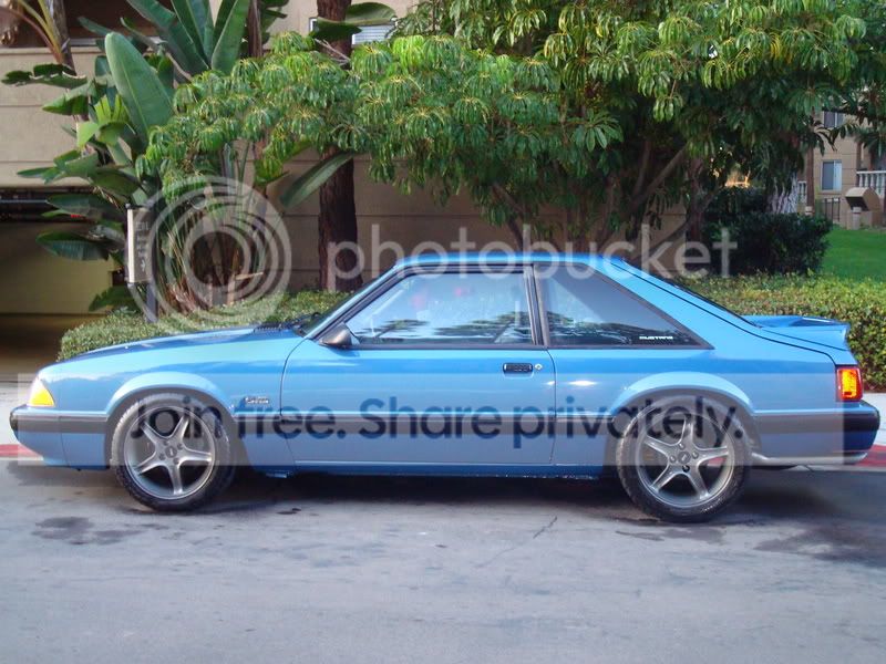 stang012.jpg