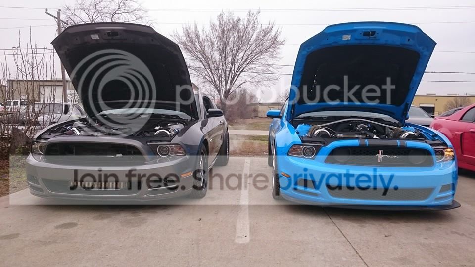 2014mustang020.jpg