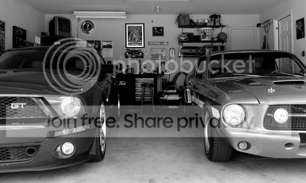 IMG_2482bw.jpg