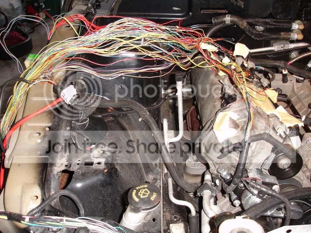 wires5.jpg